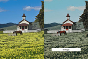 20 Meadow Lightroom Presets and LUTs, a Preset Add-On by Hubzway (Thumbnail 5 of 10)
