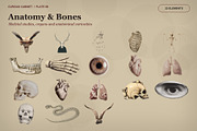 Curious Cabinet Collage Kit, an Object Graphic by Le.nart (Thumbnail 6 of 15)