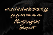 Eagle Horizon, a Handwritten Font by Letterara (Thumbnail 12 of 13)