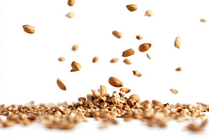 Collection of peanuts falling, a Photo by Pavel_design