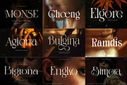 100+ Premium Serif Font Bundle, a Serif Font by Graphicxell (Thumbnail 6 of 12)