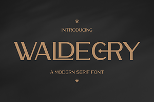 Waldecry A Modern Serif Font