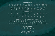Balistany Signature Font, a Script Font by Multype Studio (Thumbnail 6 of 7)