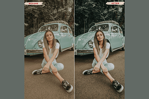 IN VOGUE Desktop Lightroom Presets