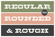 Palm Ridge Midcentury Southwest Font, a Serif Font by Molly Suber Thorpe (Thumbnail 4 of 15)