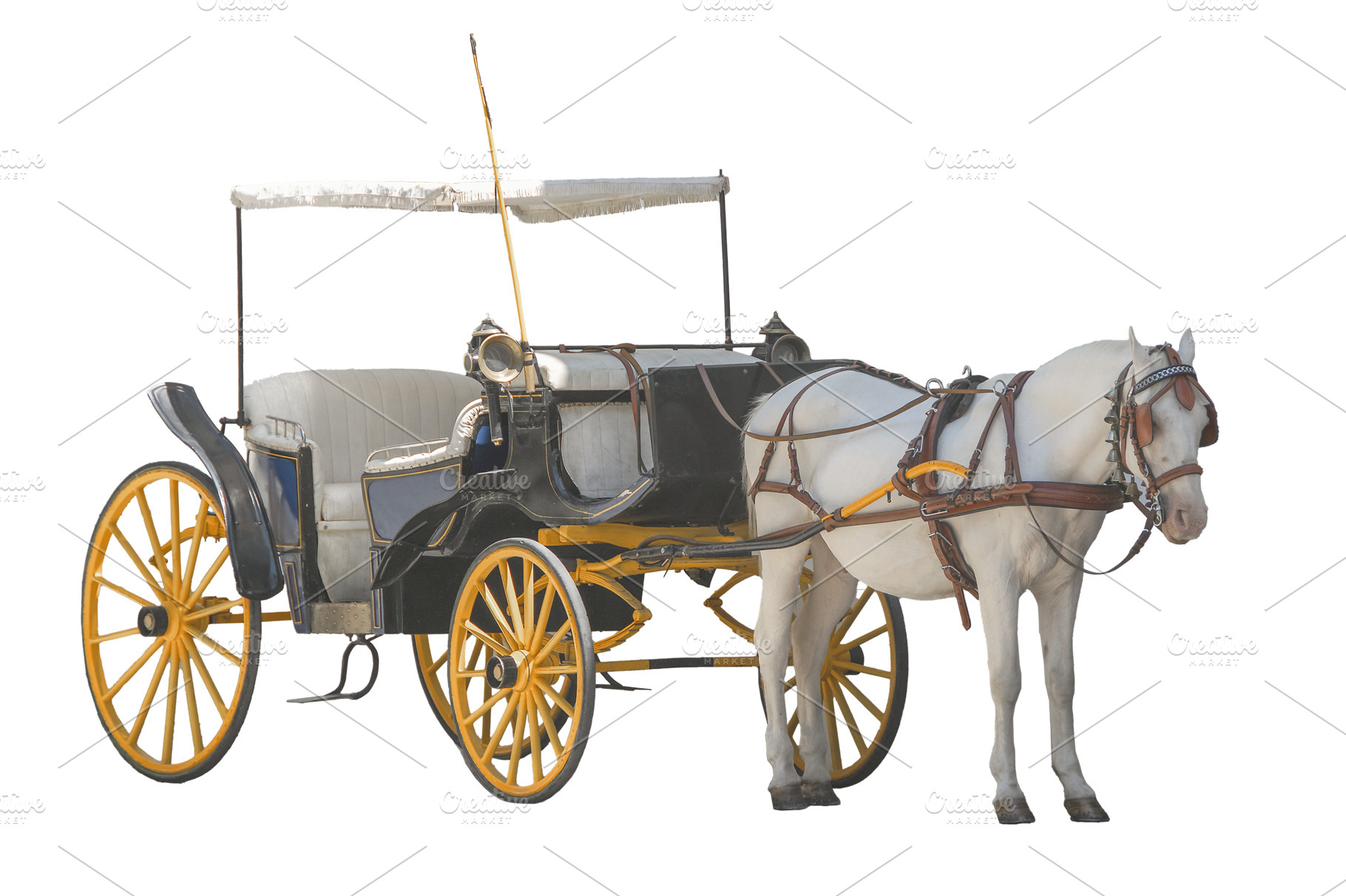 Traditional horse carriage isolated, an Animal Photo by DanFLCreativo