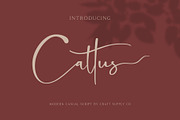Cattus - Modern Casual Script Font, a Script Font by Craft Supply Co. (Thumbnail 1 of 11)