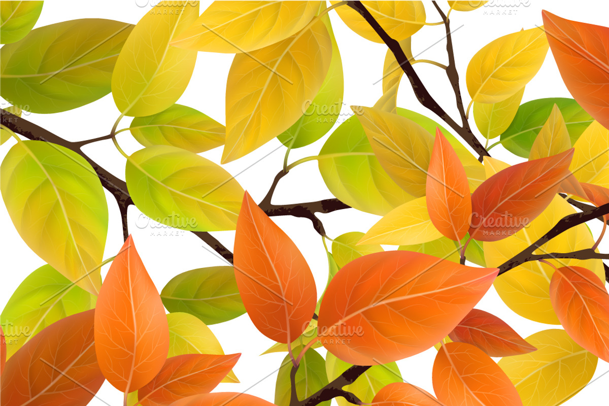 Set of autumn tree branches, a Seasonal Illustration by belander (Photo 3 of 3)