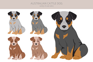 Australian Cattle Dog Clipart