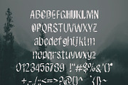 Viking Blood - Handwritten Font, a Font by NViolet (Thumbnail 2 of 3)