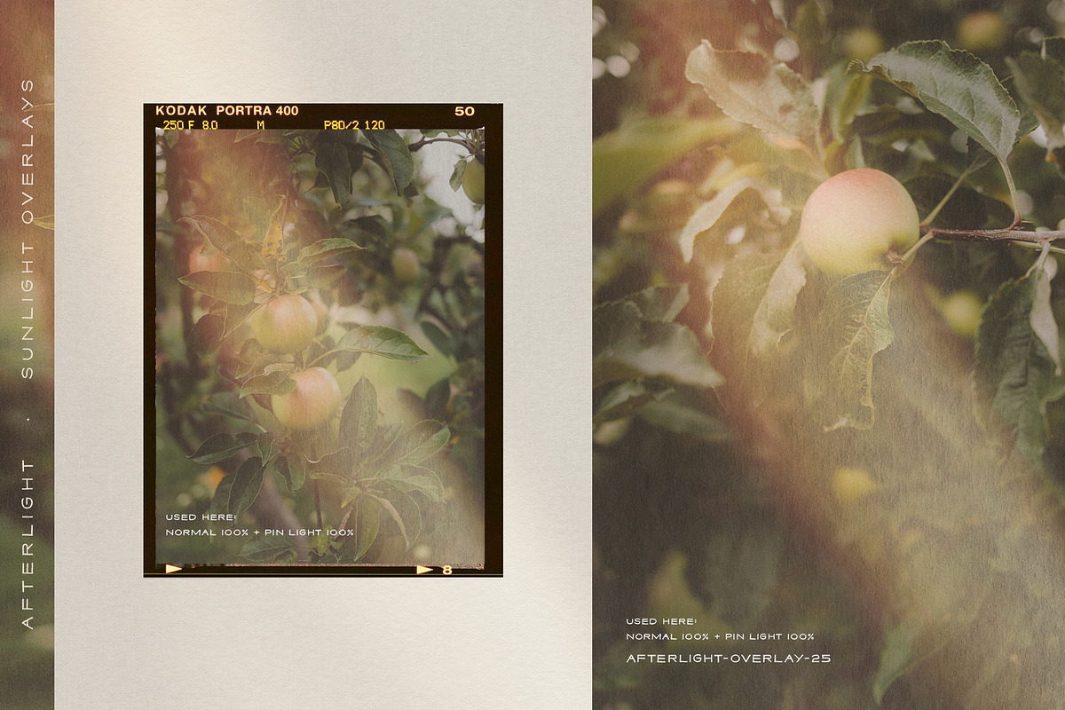 Afterlight - Light Overlays, a Texture Graphic by alonahaidash (Photo 8 of 18)