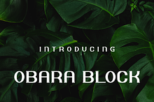 Obara Block