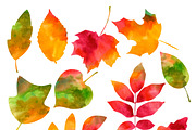 Watercolor Autumn Leaves, an Illustration by MyNatureGraphics (Thumbnail 2 of 2)