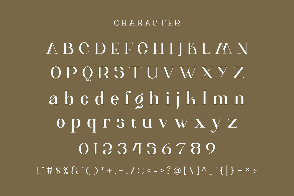 wifian Ligature Serif Typeface, a Serif Font by Humaira_std (Photo 8 of 11)