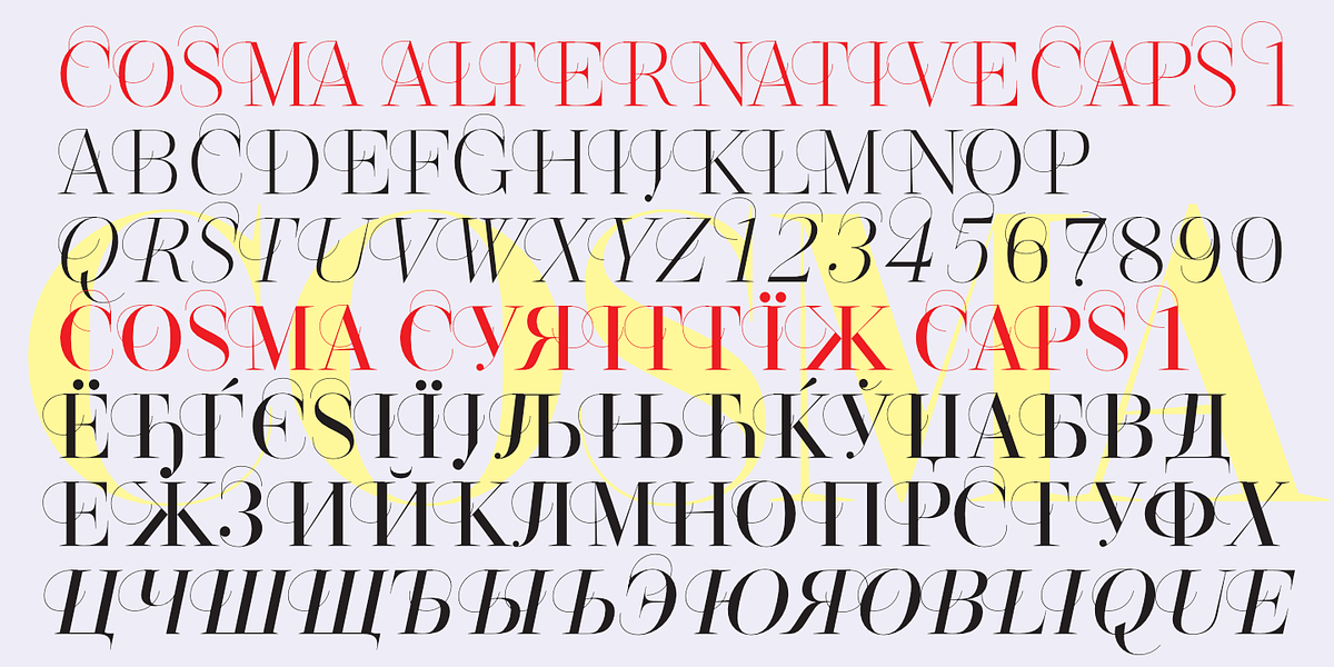 Cosma, a Serif Font by Wiescher-Design (Photo 10 of 11)