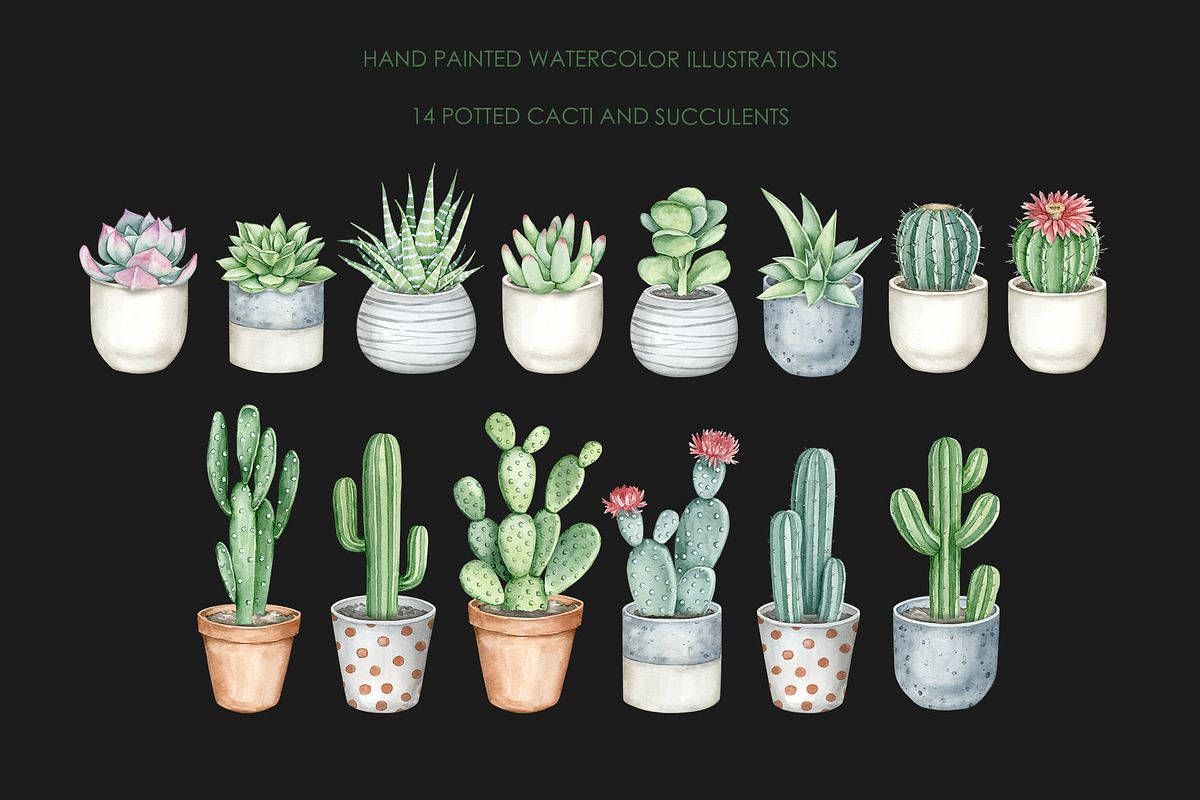 Watercolor cactus clipart, a Decorative Illustration by AquarelleSpace (Photo 3 of 5)
