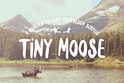 Brush Font Bundle (50% OFF), a Sans Serif Font by Design Surplus (Thumbnail 4 of 5)