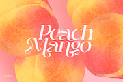 Jemina - Modern Branding Family, a Serif Font by creativemedialab (Thumbnail 9 of 15)