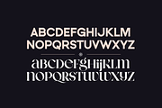 Neat Type - elegant fusion font, a Serif Font by VP Fonts (Thumbnail 5 of 13)
