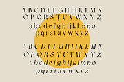 Charming | Modern Serif, a Serif Font by Muntab_Art (Thumbnail 9 of 10)