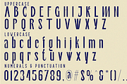 DEMOCRATIC PROCESSES Font, a Sans Serif Font by 177Studio (Thumbnail 8 of 8)