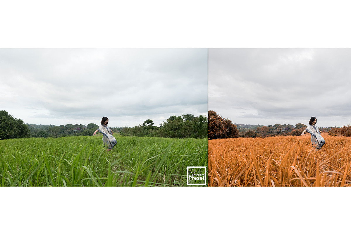 Kamin Colorful preview 3