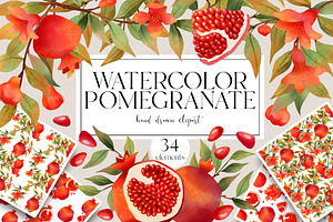 Watercolor Pomegranate clipart
