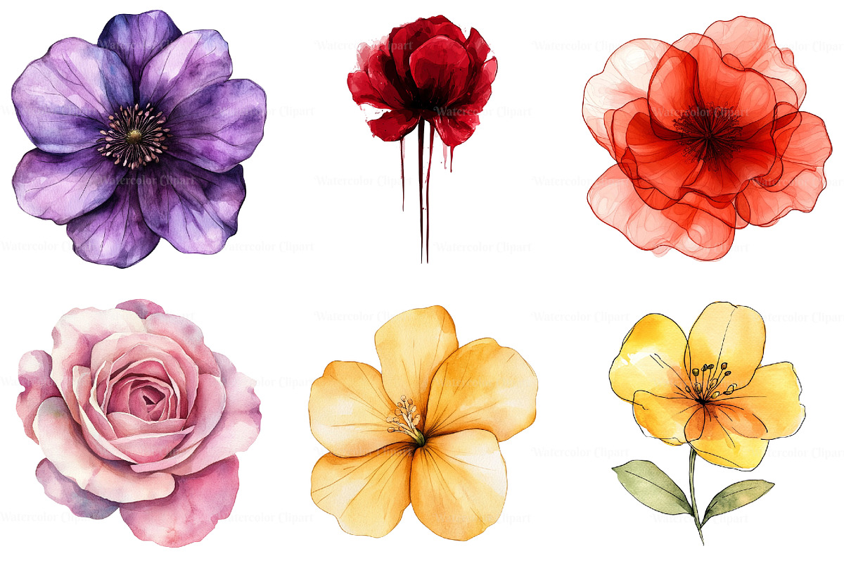 Abstract Flowers Clipart, an Illustration by Watercolor design (Photo 3 of 10)