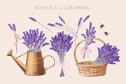 Ultimate Lavandula Bundle, an Object Graphic by GreyLilac (Thumbnail 2 of 11)