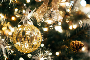 Christmas tree glowing with festive, a Holiday Photo by Anna Efetova
