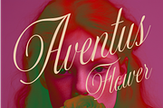 Actalle Calligraphy Font, a Script Font by Andfonts (Thumbnail 4 of 7)