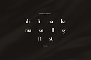 Felina Elegant Serif Font, a Serif Font by Graphicxell (Thumbnail 8 of 8)
