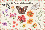 Summer Midday: Paraguay Botanical, a Decorative Illustration by Nadya Saen Art (Thumbnail 3 of 13)