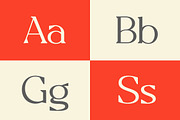 Allogist - Modern Typeface, a Serif Font by Dora Typefoundry (Thumbnail 12 of 15)