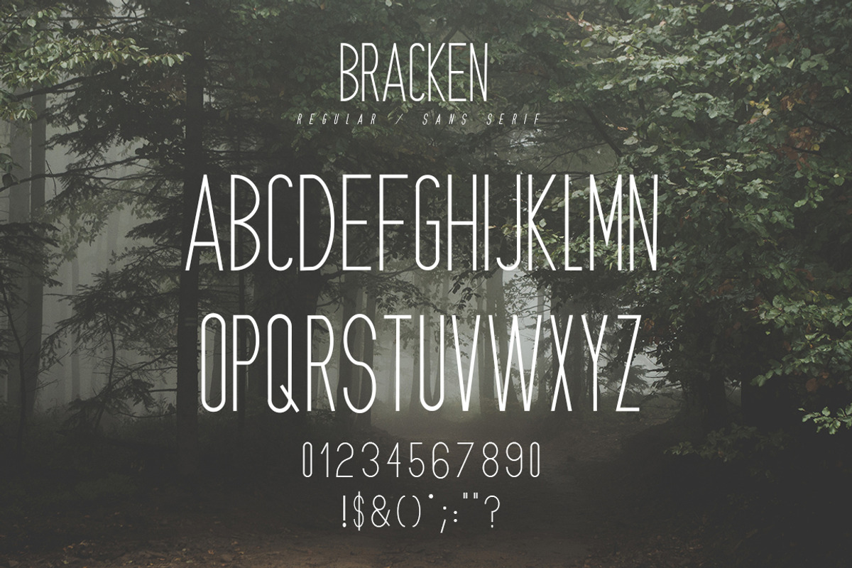 Bracken | A Hipster Font Family, a Sans Serif Font by Zone 6, image size:1200x800
