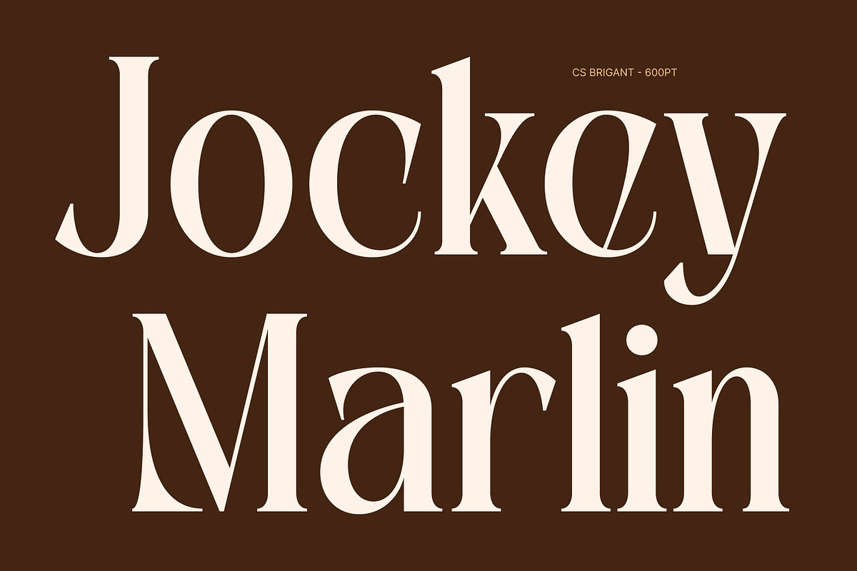 CS Brigant – Modern Serif Font, a Serif Font by Craft Supply Co. (Photo 4 of 8)