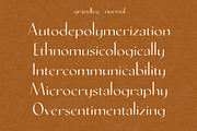Grandley Sans Serif Font, a Font by Evoke Type Studio (Thumbnail 11 of 15)