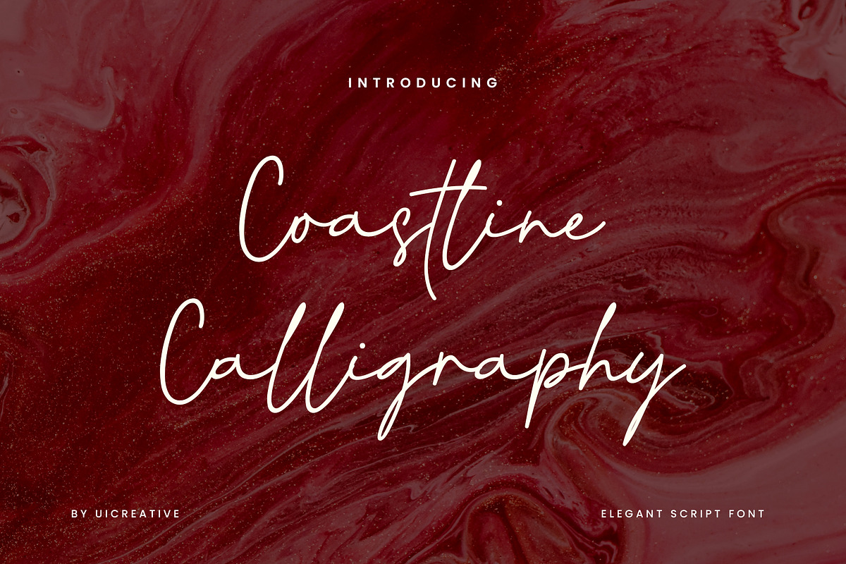 Coastline Calligraphy Signature Font, a Handwritten Font by UICreative (Photo 1 of 13)