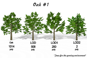 Oak 1