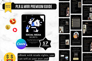 Social Media Secrets Guide, a Templates & Theme by Digital Content Mix (Thumbnail 3 of 5)