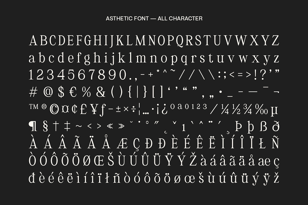 Asthetic - Nostalgic Serif Font, a Serif Font by Craft Supply Co. (Photo 7 of 8)