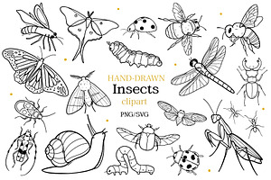 Insects and Bugs SVG PNG Bundle