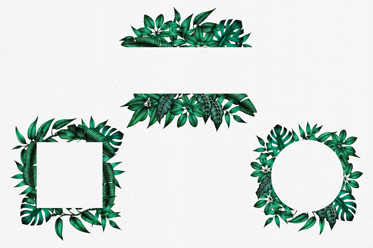 JUNGLE leaves Clip Art., an Illustration by ARTVracovska (Photo 4 of 5)