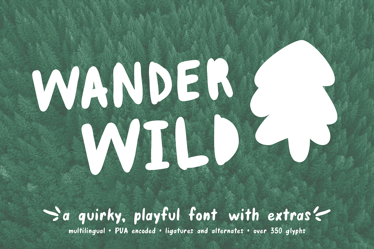 Wander Wild, a Sans Serif Font by Abby Van Haren (Photo 1 of 8)