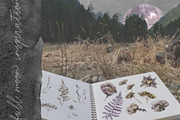-25% Full Moon Miracle Watercolor, an Object Graphic by Cat In Colour (Thumbnail 12 of 12)