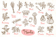 Herbs - Design Set, a Food Illustration by Baksiabat (Thumbnail 2 of 2)