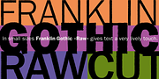 Franklin Gothic Raw, a Sans Serif Font by Wiescher-Design (Thumbnail 2 of 6)