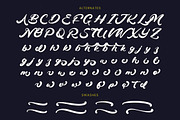Drink South Bold Calligraphy Font, a Script Font by Letterena Studios Script (Thumbnail 19 of 20)