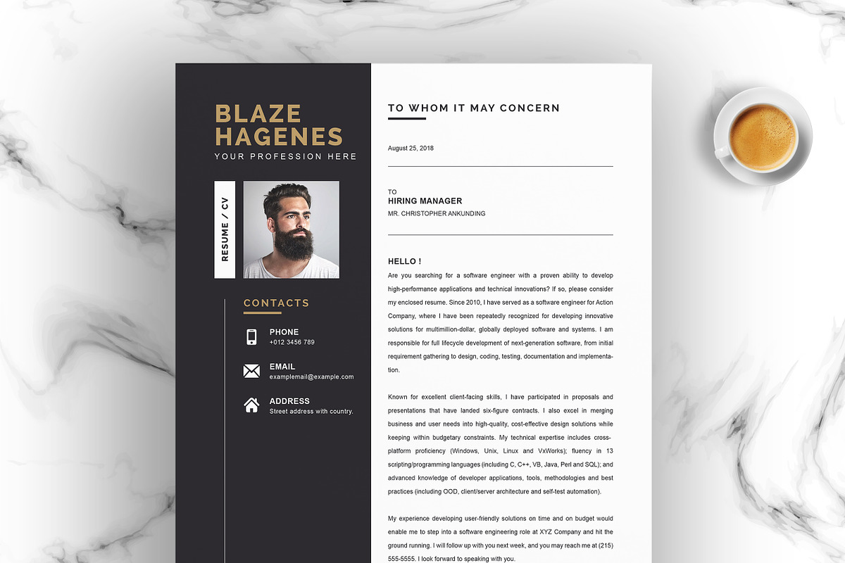 JOB WINNING RESUME - 50 TEMPLATES, a Resume Template by ResumeInventor (Photo 118 of 184)