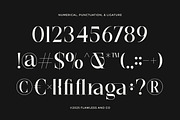 Regata - Elegant Serif Display Font, a Serif Font by Flawless And Co (Thumbnail 8 of 10)